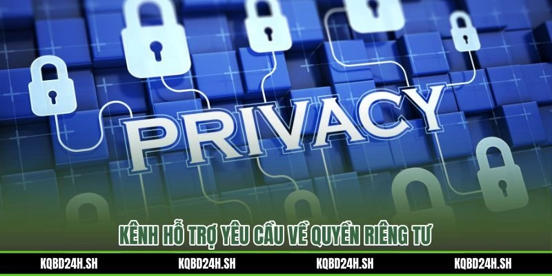 Kênh liên hệ xử lý yêu cầu quyền riêng tư qua email chính thức